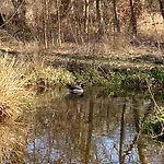 Hotell Brookfield House