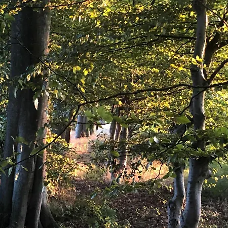 Hotel Brookfield House *